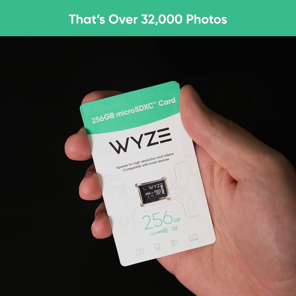 256 gb sd card