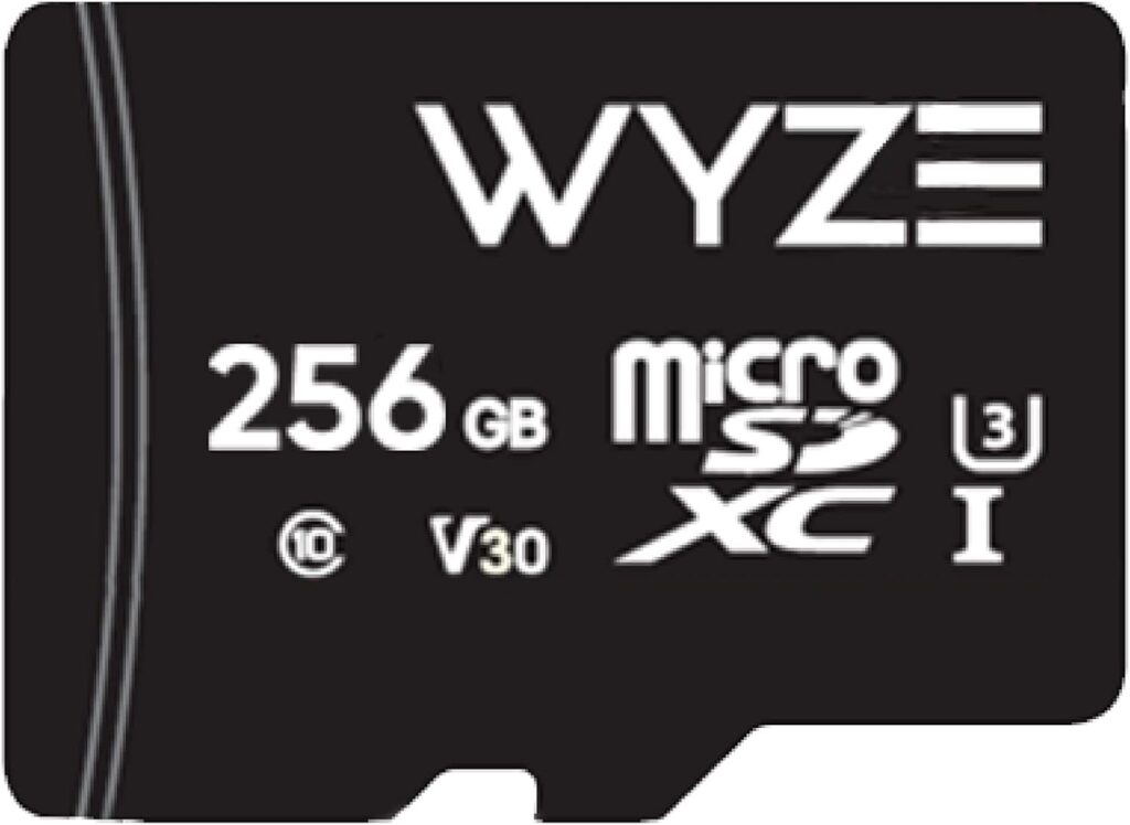 256 gb sd card wyze