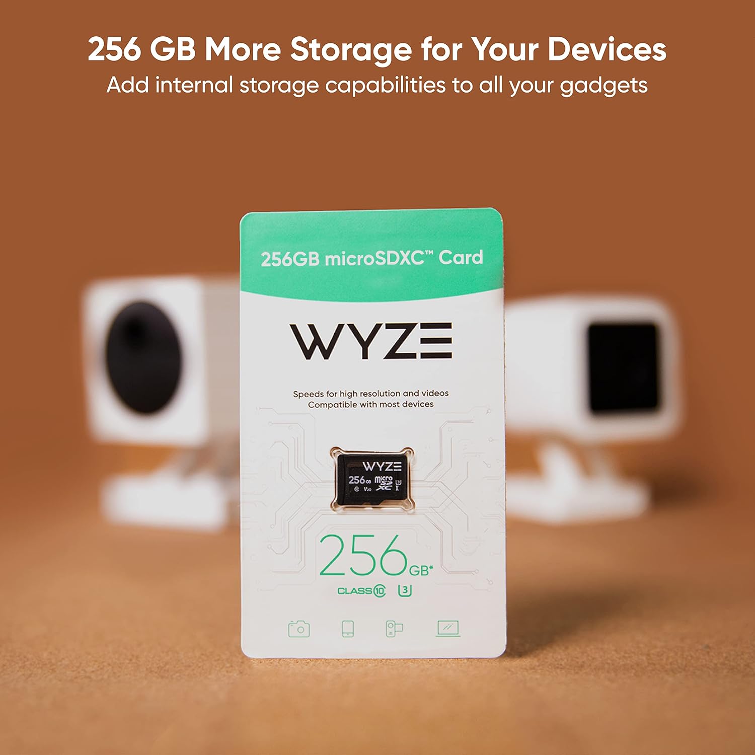256 gb sd card for wyze cam